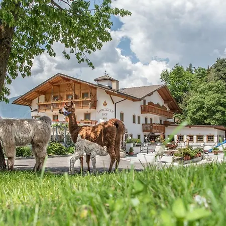 Hotel Torgglerhof-2